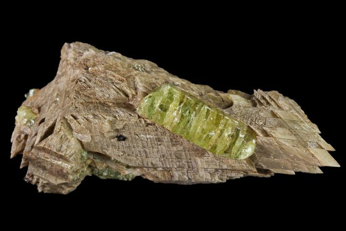 Yellow-Green Fluorapatite Crystal in Calcite - Ontario, Canada #137102